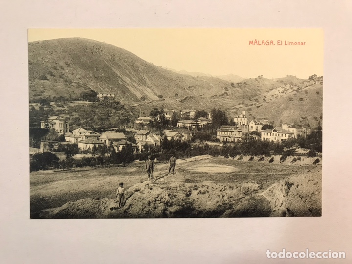 Postales: MALAGA. Postal Animada. El Limonar. Edita: Fototipia THOMAS (h.1920?) NO CIRCULADA..
