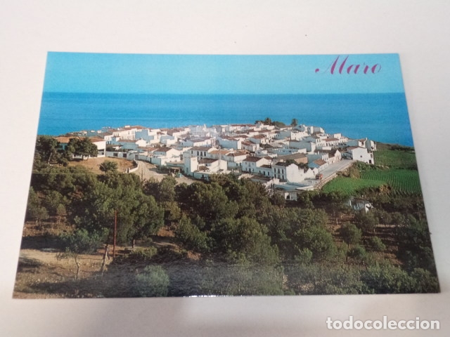 Postales: M&Aacute;LAGA - POSTAL MARO (NERJA) - Foto 1