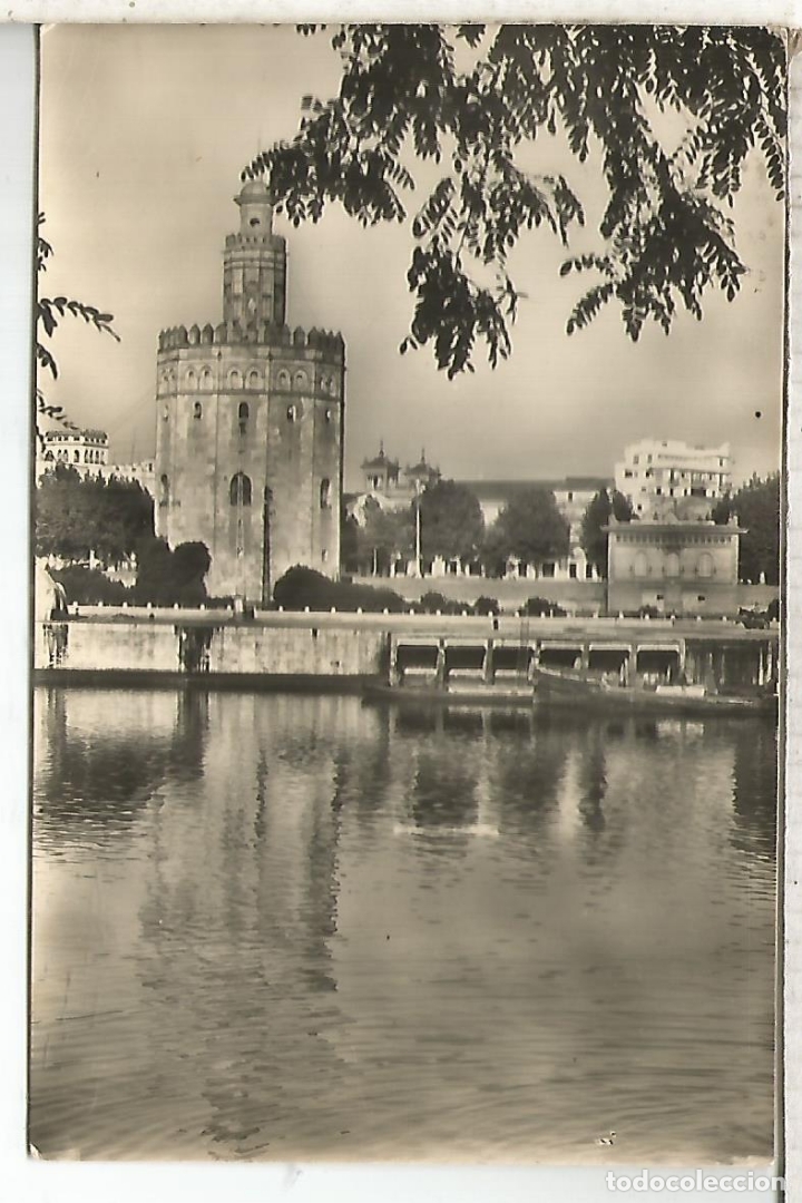 Postales: SEVILLA TORRE DEL ORO ESCRITA - Foto 1