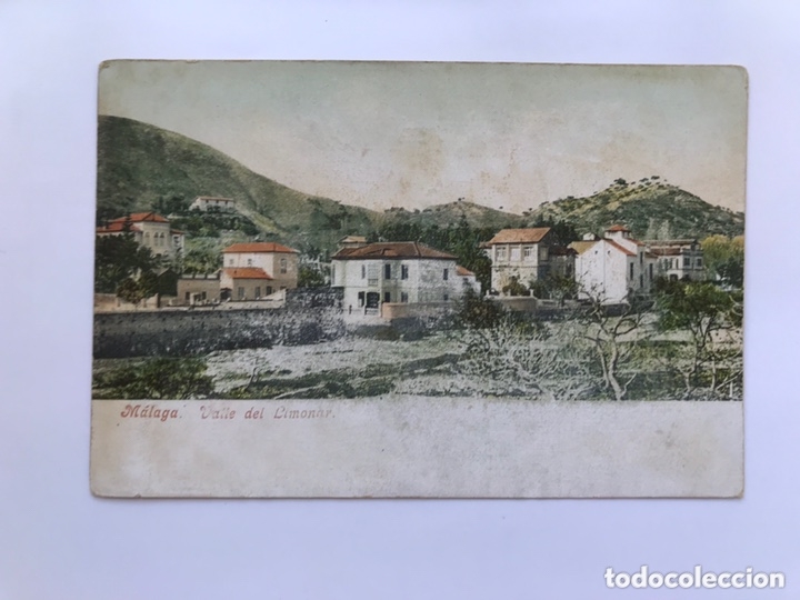 Postales: MALAGA. Postal Valle del Limonar. Edita: Purger & Co. Munchen (h.1910?) NO CIRCULADA..