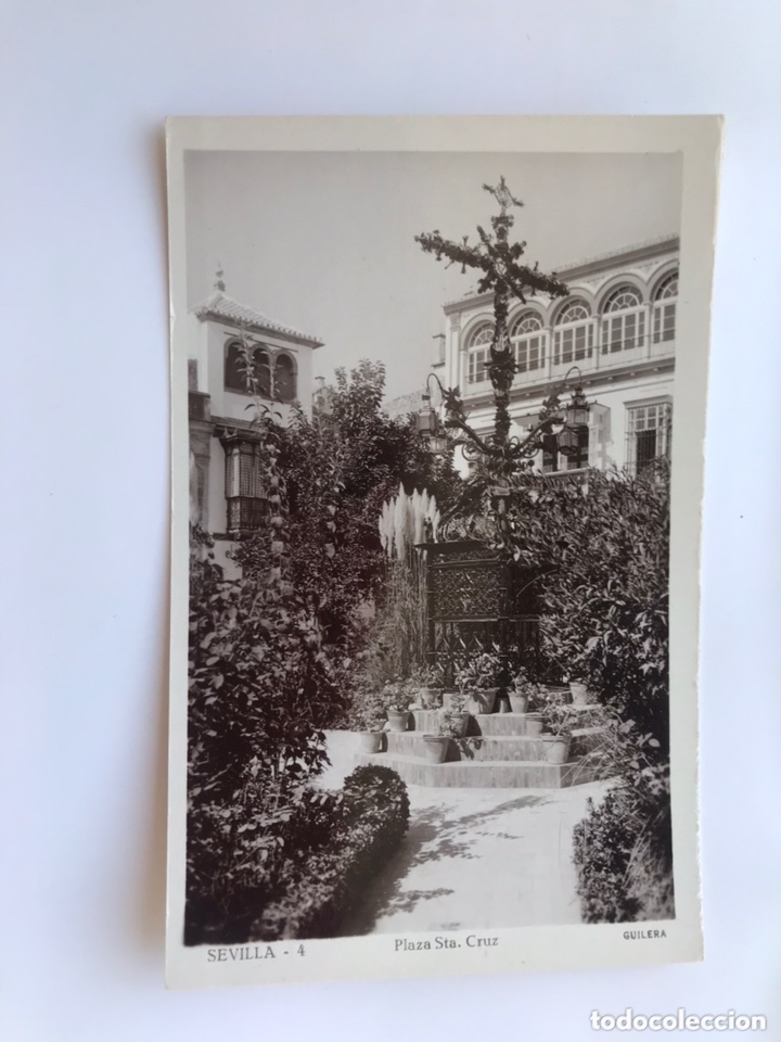 Cartoline: SEVILLA. Postal No.4, Plaza de Santa Cruz. Edita: Foto Guillera (h.1960?) NO CIRCULADA