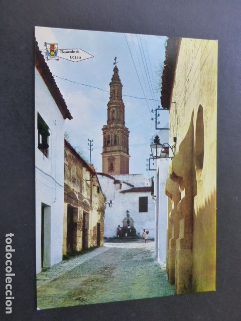 Postales: ECIJA SEVILLA FUENTE ALTOZANO Y TORRE IGLESIA SAN GIL