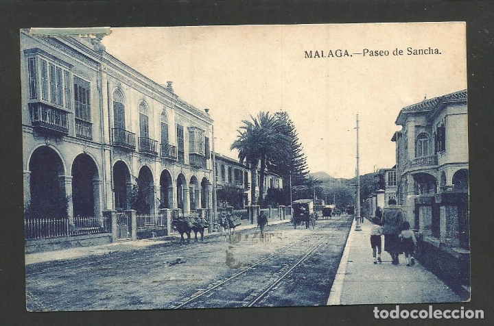 Postales: MALAGA-PASEO DE SANCHA-HELIOS-VER REVERSO-(61.932)