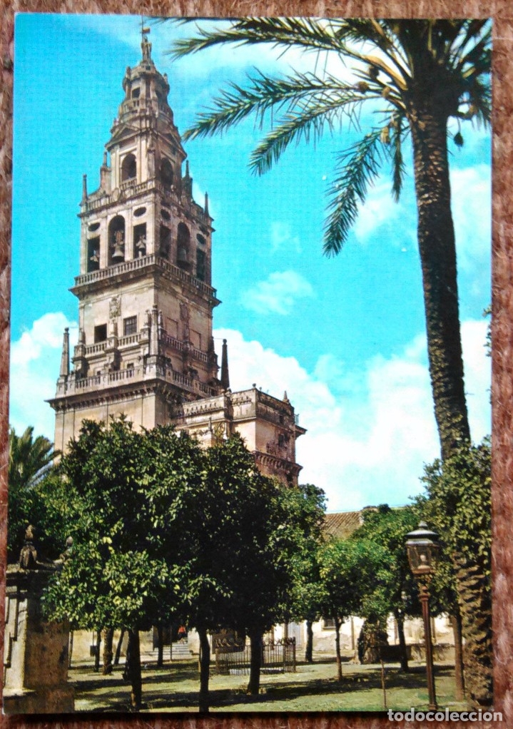Postales: CORDOBA - CATEDRAL