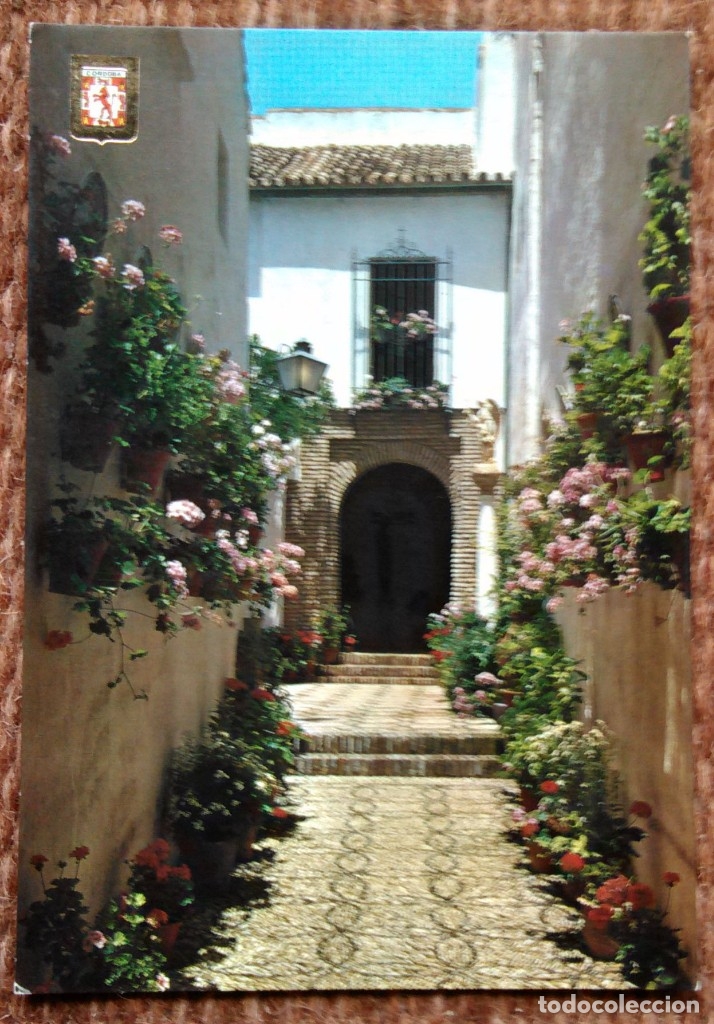 Postales: CORDOBA - CALLEJA EN CALLE CARDENAL HERRERO