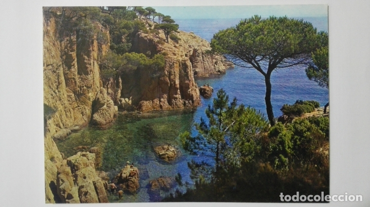 Postales: POSTAL NERJA, COSTA DEL SOL, N&ordm; 1000 - Foto 1