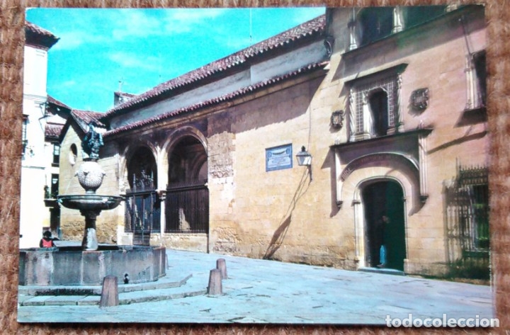 Postales: CORDOBA - PLAZA DEL POTRO
