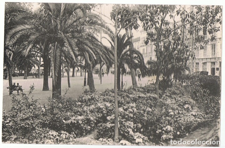 Postales: POSTAL MALAGA PARQUE - Foto 1
