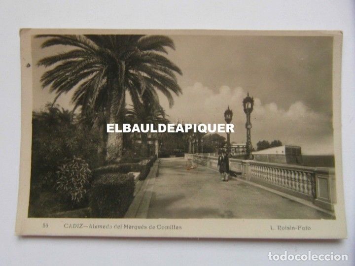 Postales: 53 CADIZ. ALAMEDA DEL MARQUES DE COMILLAS. 1950. FOTO L. ROISIN. ESCRITA AL REVERSO. CCTT