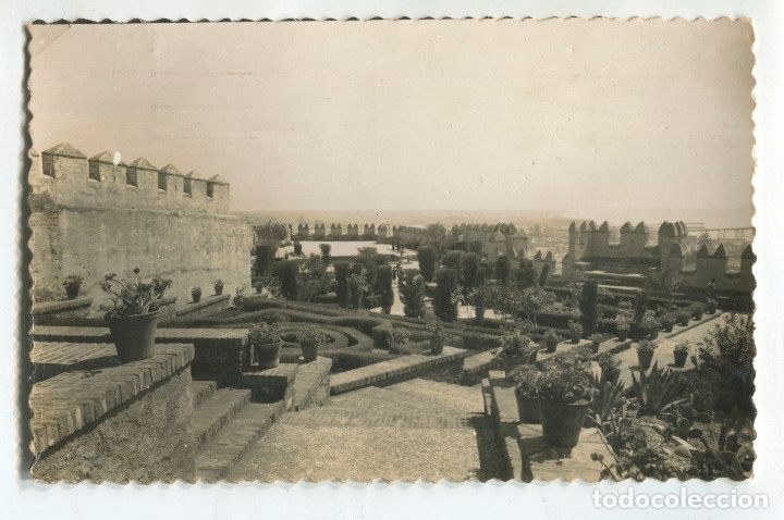 Postales: Almeria. Jardines de la Alcazaba. 204 Ed Aisa (13,6x8,6cm)