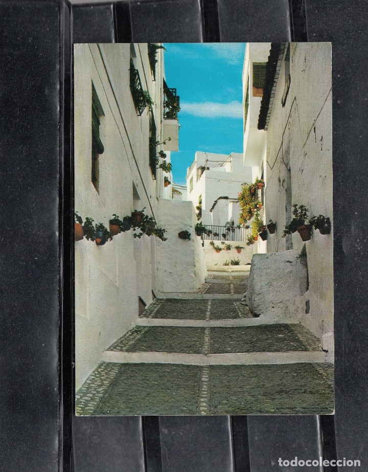 Postales: 6262.- ALMU&Ntilde;ECAR. TOPICO DE EUROPA. CALLE T&Iacute;PICA