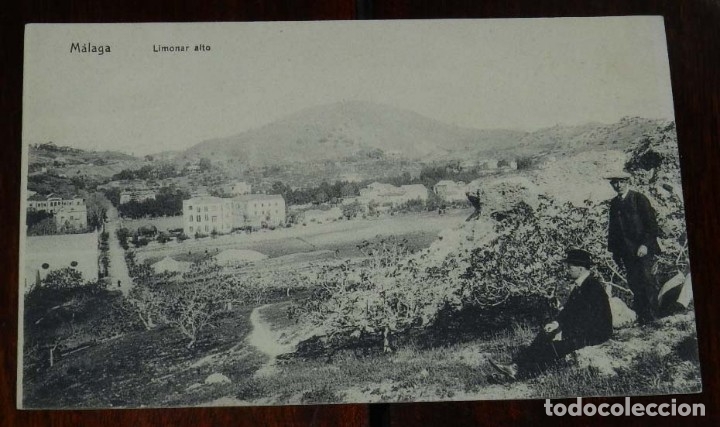 Postales: POSTAL DE MALAGA, LIMONAR ALTO, ED. F.J.F. N&ordm; 61, NO CIRCULADA.