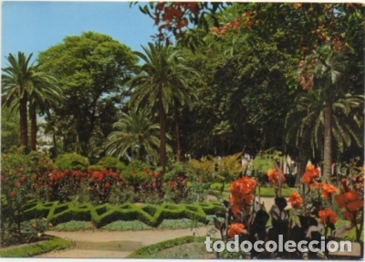Postales: POSTAL DE MALAGA. UN BELLO RINCON DEL PARQUE N&ordm; 400 P-ANMA-945