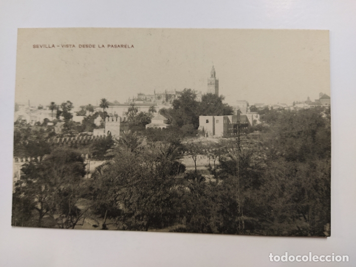 Postales: SEVILLA-VISTA DESDE LA PASARELA-VER REVERSO-(63.077)