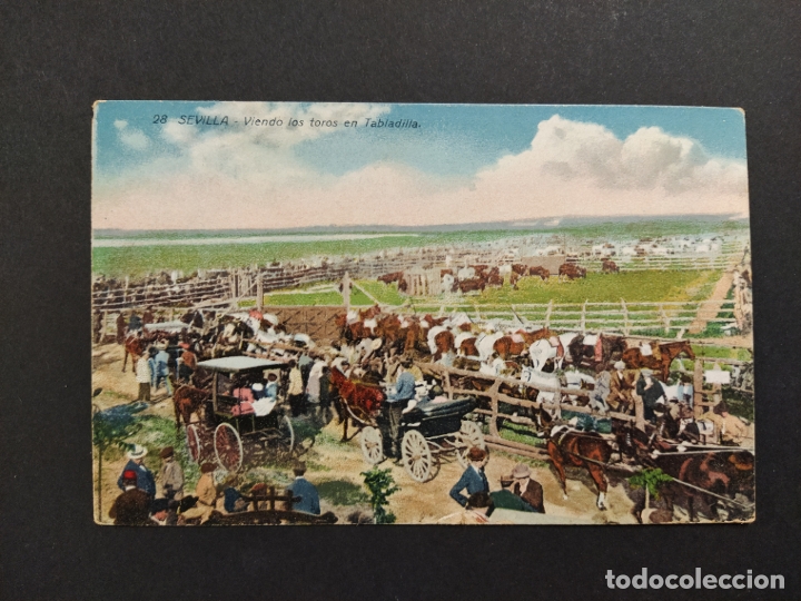 Postales: SEVILLA-VIENDO LOS TOROS EN TABLADILLA-28-MANUEL BARREIRO-VER REVERSO-(63.407)
