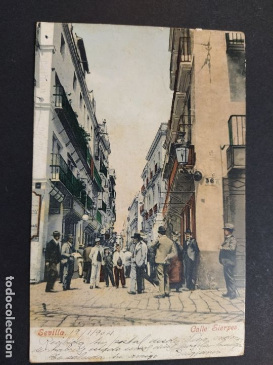 Postales: SEVILLA-CALLE SIERPES-PURGER & CO 2641-VER REVERSO SIN DIVIDIR-(63.412)