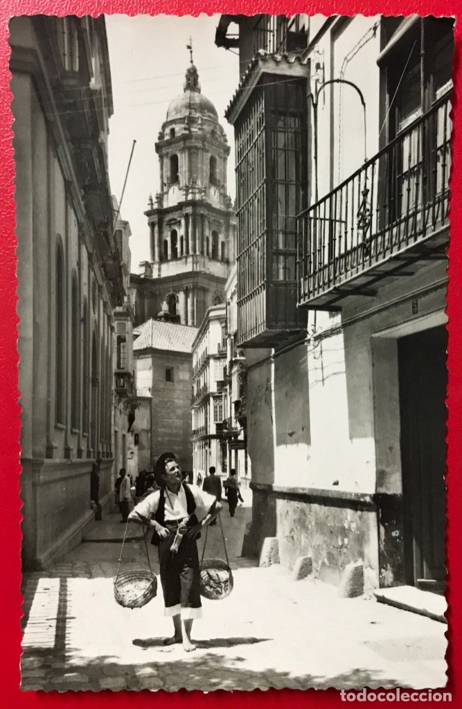 Postales: Malaga - t&iacute;pico vendedor de pescado en la calle san Agustin