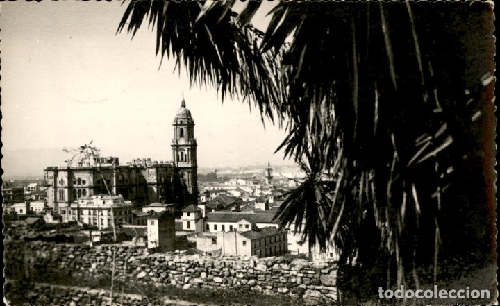 Postales: Malaga. Catedral &ndash; Dolores de O&ntilde;a