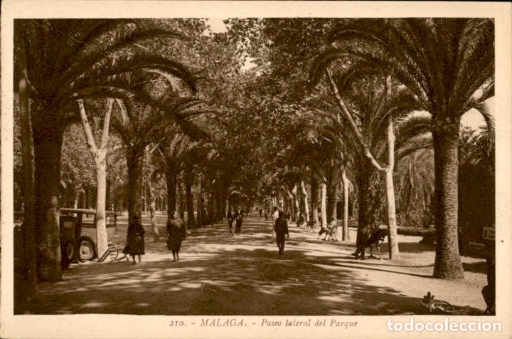 Postales: Malaga. Paseo lateral del parque &ndash; L. Roisin