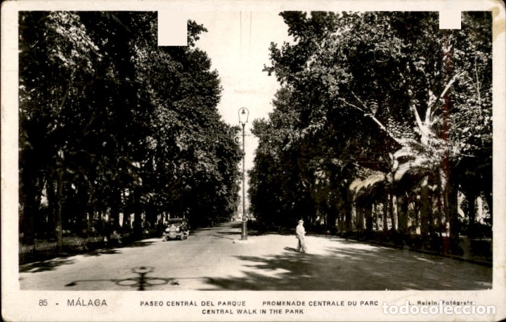 Postales: Malaga. Paseo central del parque &ndash; L. Roisin