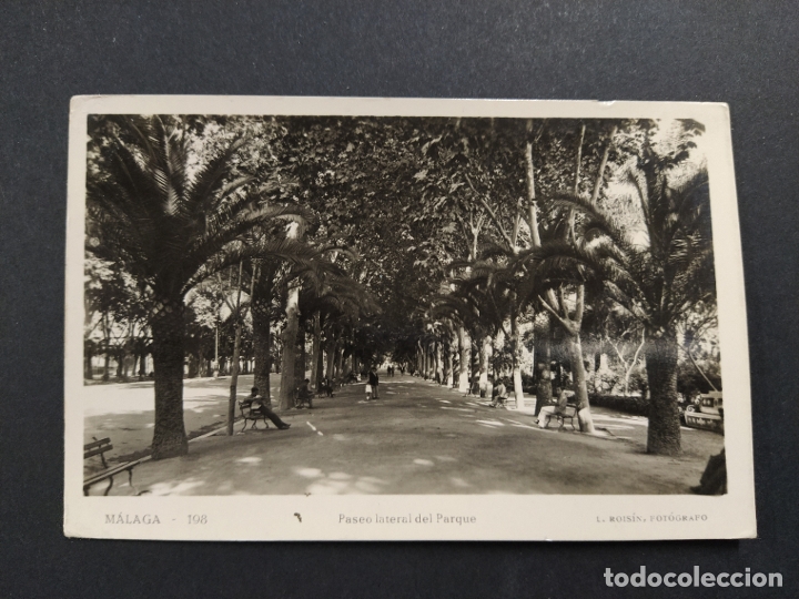 Postales: MALAGA-PASEO LATERAL DEL PARQUE-198-FOTOGRAFICA ROISIN-VER FOTOS-(63.493)