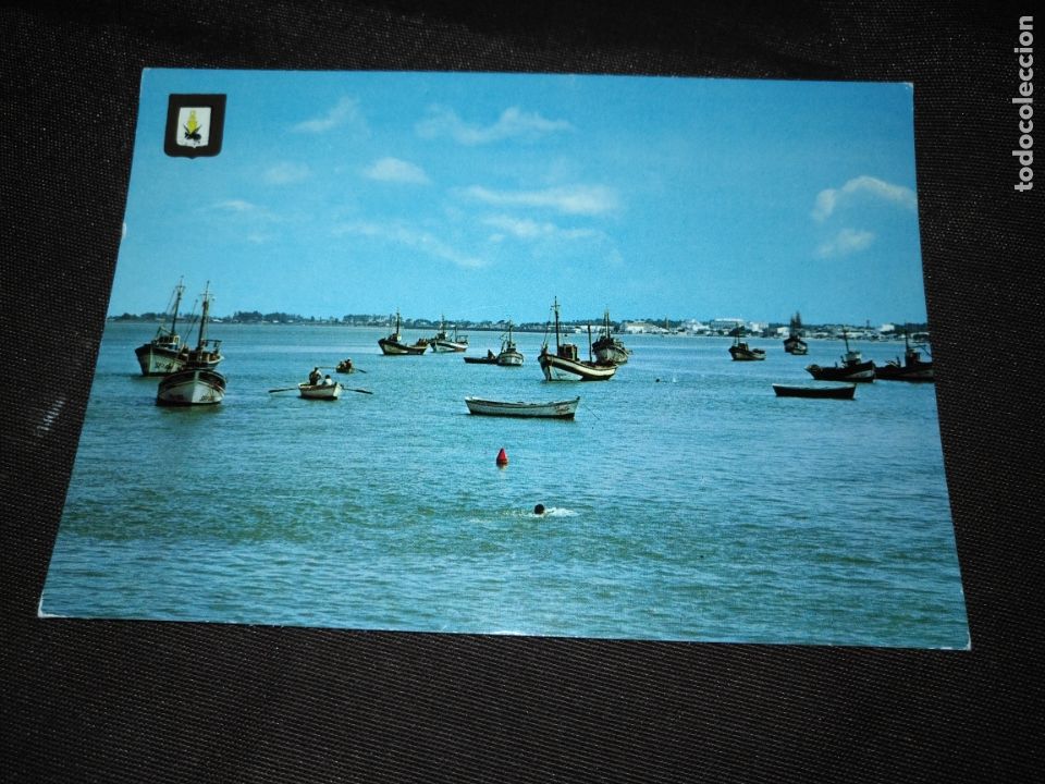 Postcards: HAGA SUS OFERTAS ------------------------ postal sanlucar de barrameda provincia de cadiz