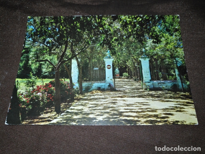 Postcards: HAGA SUS OFERTAS ------------------------ postal sanlucar de barrameda provincia de cadiz