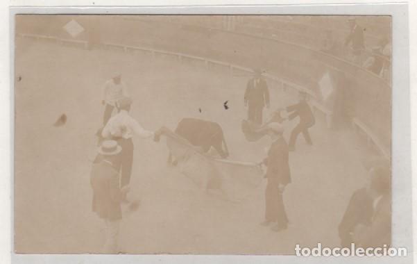 Postais: Postal fotogr&aacute;fica. Cadiz corrida de toros. Sin circular. No figura fot&oacute;grafo.