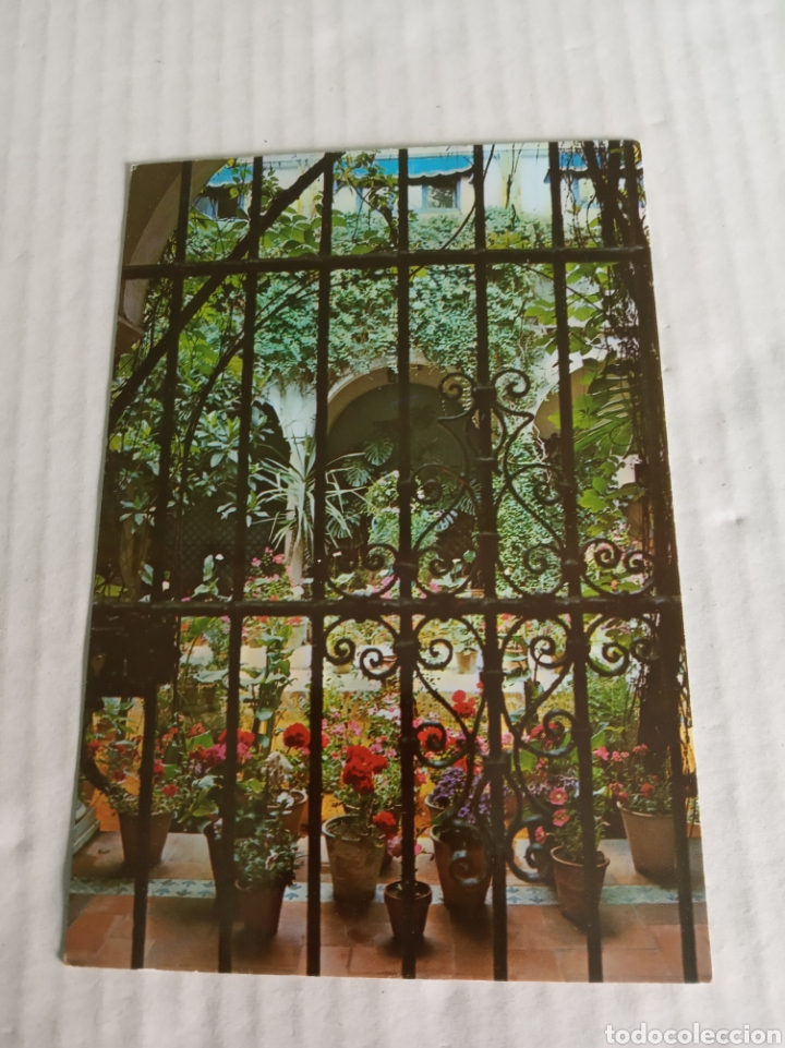 Postales: Sevilla - Foto 1