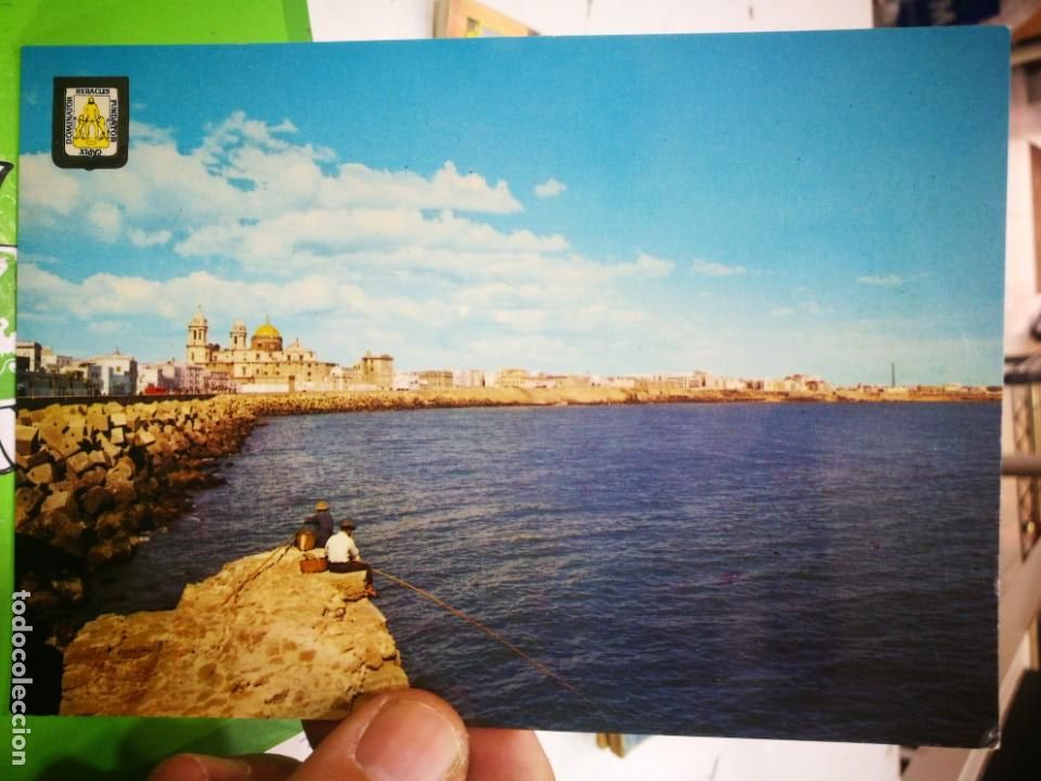 Postales: Postal Cadiz Murallas del Campo del Sur