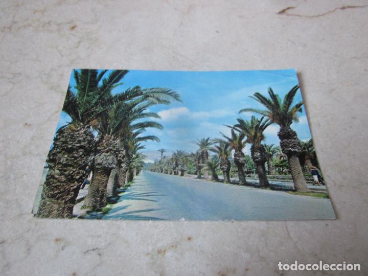 Postales: POSTAL ESCRITA A&Ntilde;O 1965 - PASEO DEL PAQUE - ALMERIA
