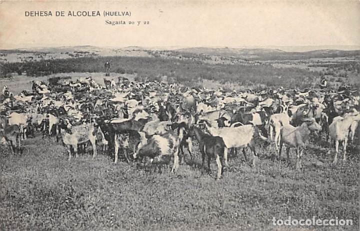 Postales: DEHESA DE ALCOLEA (HUELVA).