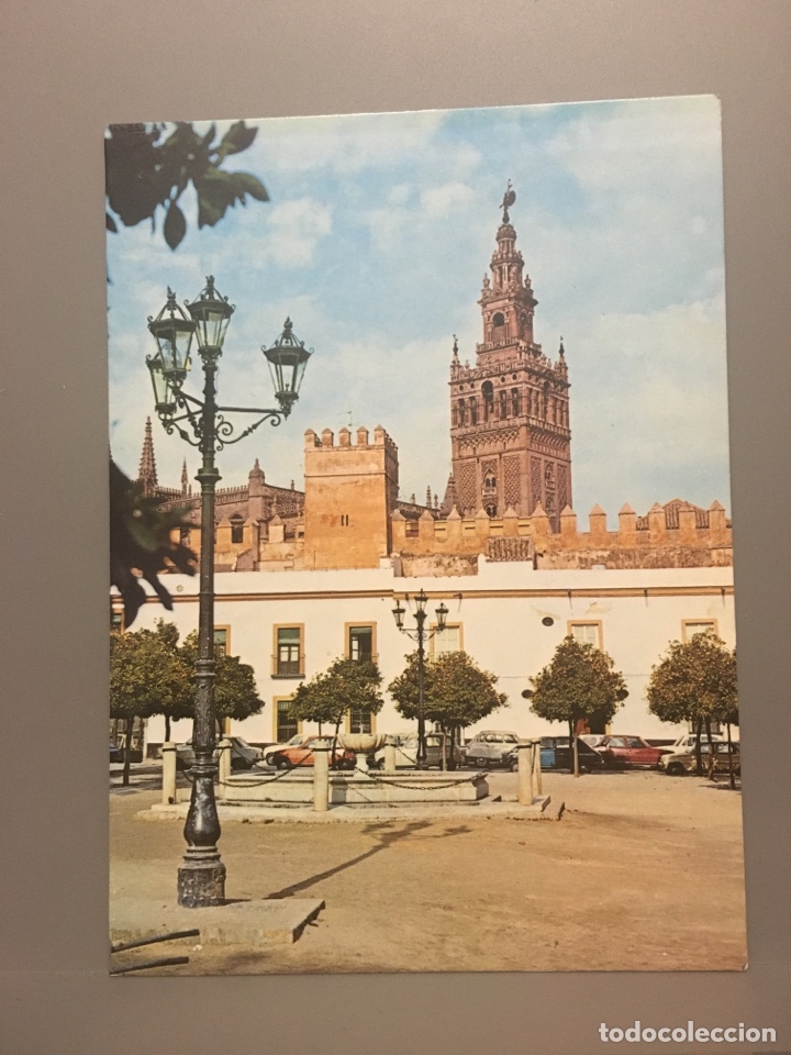 Postales: Postal Patio de Banderas LA GIRALDA