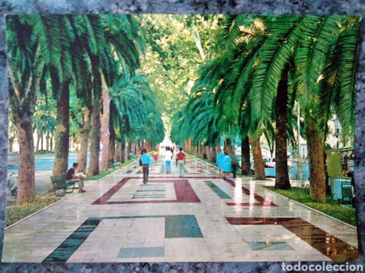 Postales: Postal de M&aacute;laga. Paseo del Parque. - Foto 1