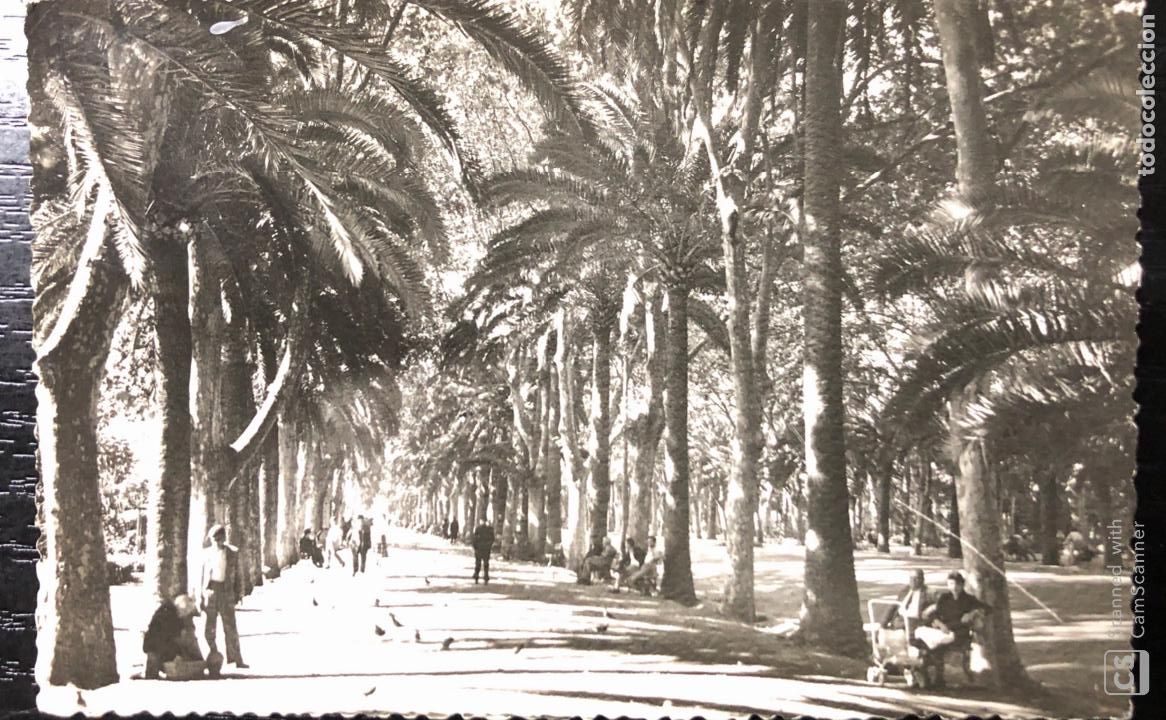 Postales: TARJETA POSTAL MALAGA. PASEO DEL PARQUE