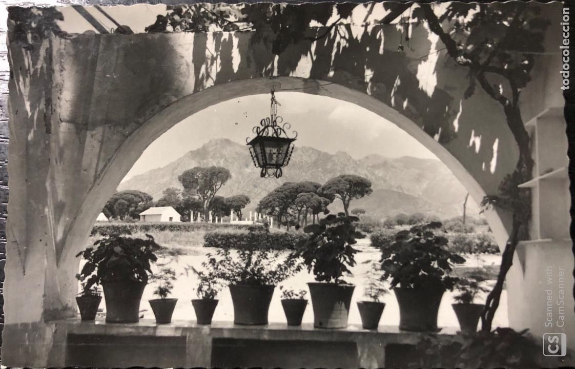 Postales: TARJETA POSTAL CIUDAD DE MARBELLA. PERSPECTIVA DEL CAMPAMENTO VIGIL DE QUI&Ntilde;ONES.