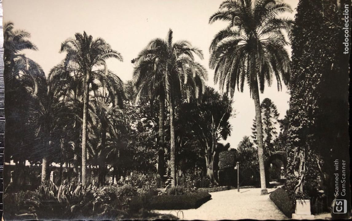 TARJETA POSTAL MALAGA. EL PARQUE.