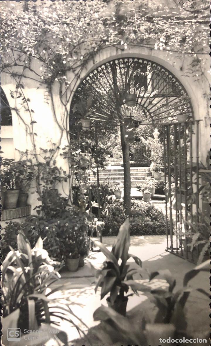 Postales: TARJETA POSTAL MALAGA. JARDINES DEL PALACIO EPISCOPAL.