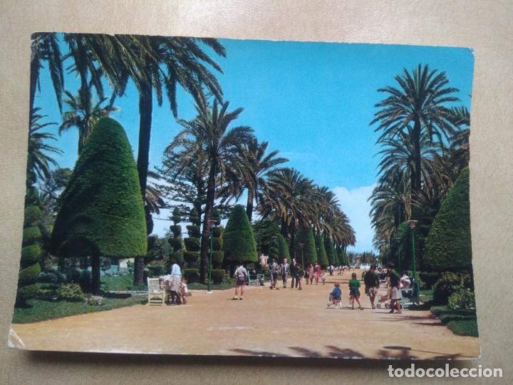 Postales: Postal cadiz, parque genoves, paseo central