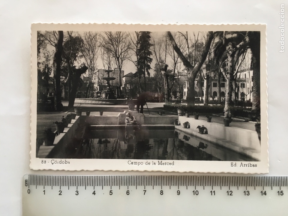 Postales: POSTAL. CORDOBA. CAMPO DE LA MERCED. ED. ARRIBAS. H. 1950?.