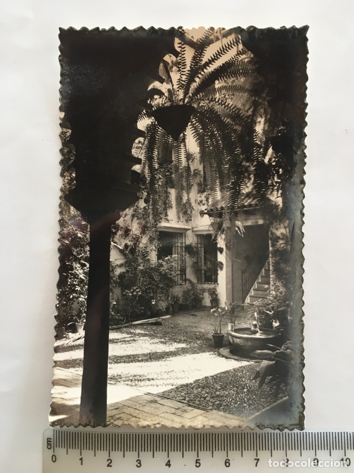 Postales: POSTAL. CORDOBA. PATIO CORDOB&Eacute;S. ED. SICILIA. H. 1958?.