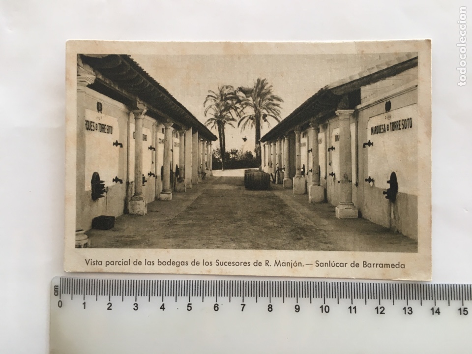Postales: POSTAL. SANLUCAR DE BARRAMEDA. BODEGAS SUCESORES DE R. MANJON. FOT&Oacute;GRAFO?. H. 1950?.