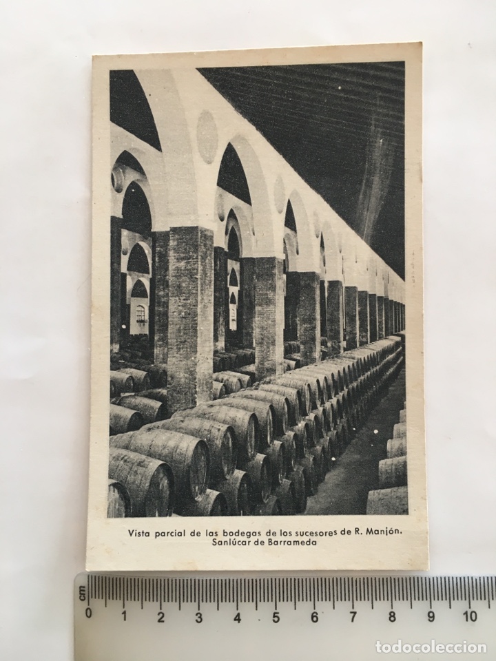 Postales: POSTAL. SANLUCAR DE BARRAMEDA. BODEGAS SUCESORES DE R. MANJON. FOT&Oacute;GRAFO?. H. 1950?.