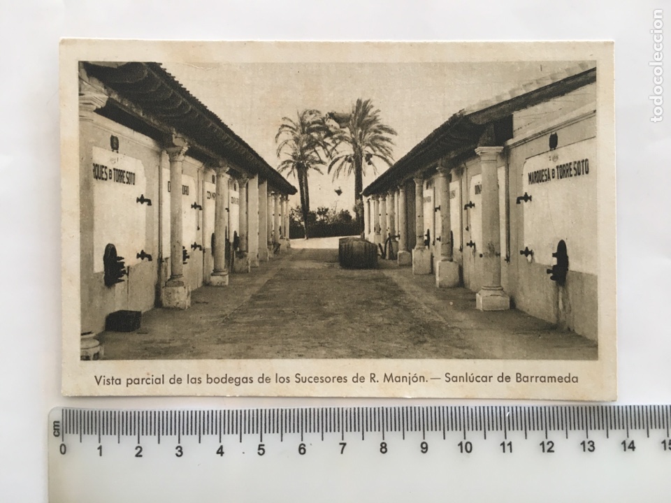Postales: POSTAL. SANLUCAR DE BARRAMEDA. BODEGAS SUCESORES DE R. MANJON. FOT&Oacute;GRAFO?. H. 1950?.