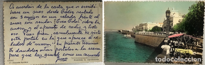 Postales: POSTAL &middot;&middot;&middot; ALAMEDA APODACA &middot;&middot;&middot; CADIZ  &middot;&middot;&middot;
