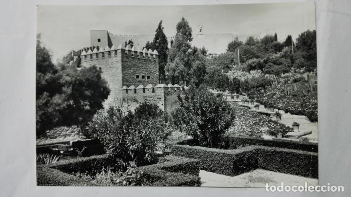 Postales: POSTAL ALMERIA - JARDINES DE LA ALCAZABA