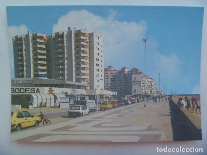 Postales: POSTAL DE EL PUERTO DE SANTA MARIA ( CADIZ ): VALDELAGRANA, PASEO MARITIMO