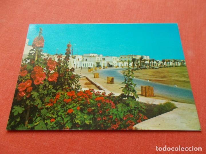 Postales: ROQUETAS DE MAR ( ALMERIA ) PASEO MARITIMO