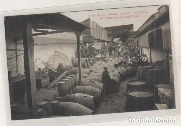 Postales: MAESSO MALAGA, LA COUR CENTRAIS DES CHAIS. BODEGA INTERIOR. POSTAL FOTOGR&Aacute;FICA.