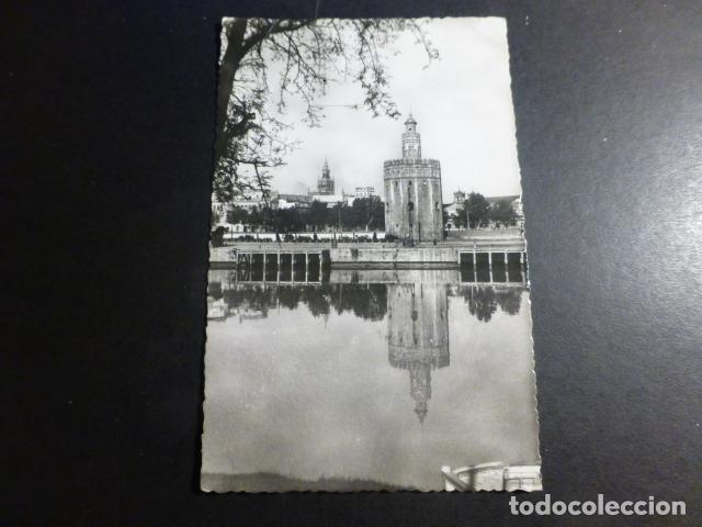 Postales: SEVILLA TORRE DEL ORO - Foto 1